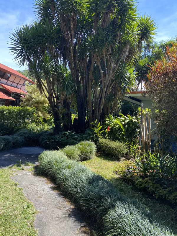 Estudio Amueblado en San Rafael, Heredia - Ideal para una Persona