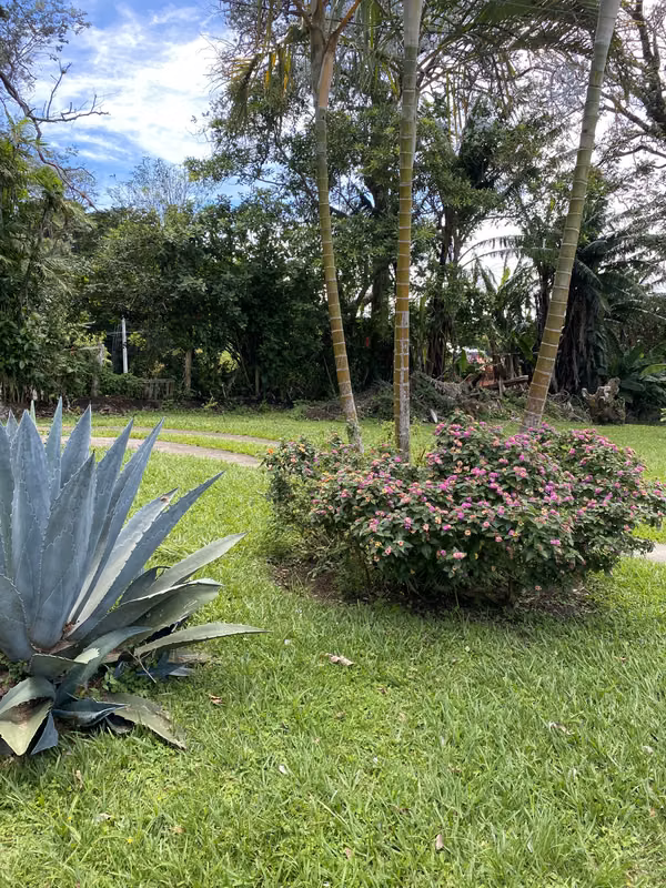 Casa amplia en San Rafael, Heredia - Ideal para familia - foto 6