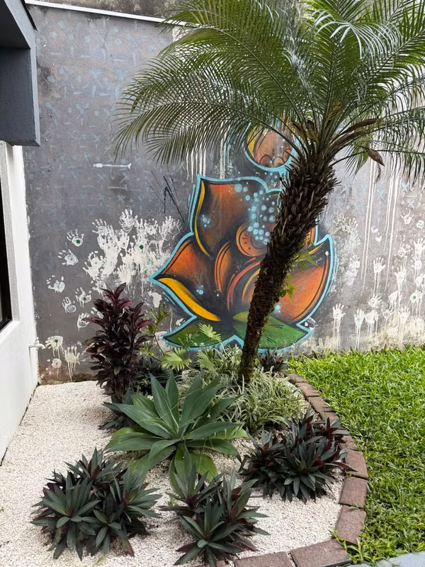 Lindo Apartamento Amueblado en Vázquez de Coronado - foto 4