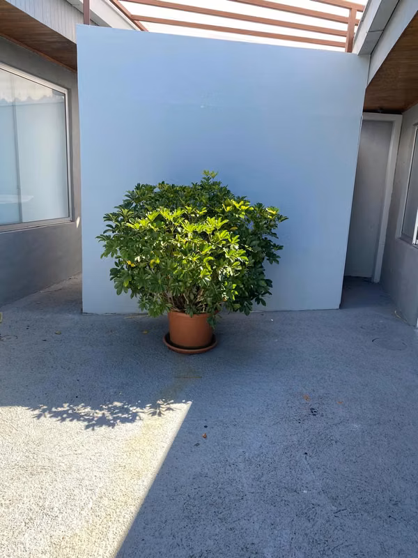 Apartamento Estudio en Alquiler en Santo Domingo de Heredia - foto 5