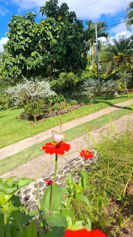 Casa Amueblada en La Tigra, San Carlos - Alquiler a Largo Plazo - foto 13