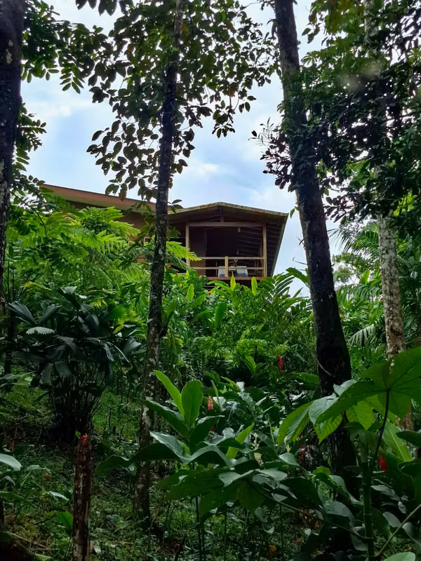 Casa Amueblada en La Tigra, San Carlos - Alquiler a Largo Plazo - foto 4