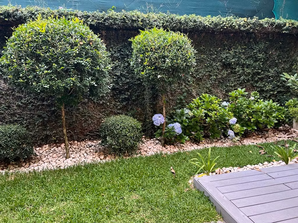Hermoso apartamento en Santa Ana con jardín y terraza - foto 5