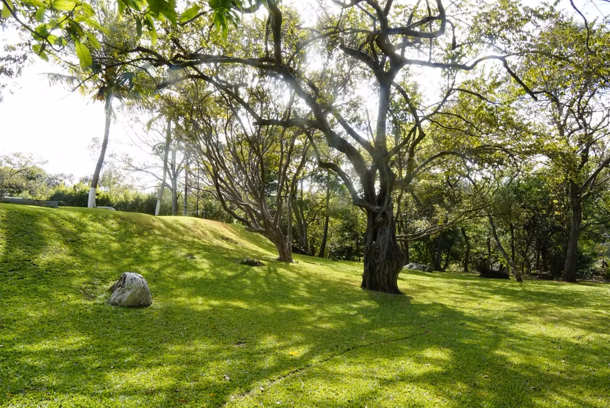 Amplia finca con piscina y caballerizas en Alajuela - foto 12