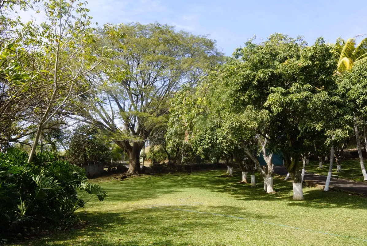 Amplia finca con piscina y caballerizas en Alajuela - foto 14