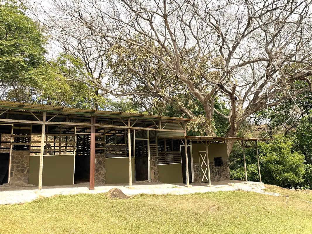 Amplia finca con piscina y caballerizas en Alajuela - foto 7
